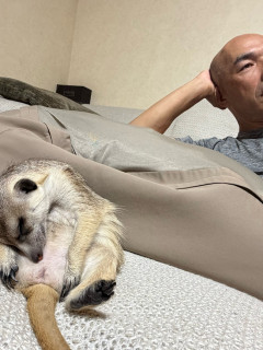 和田一浩さん、ミーアキャットと一緒に中日戦を観戦