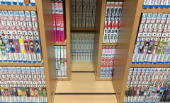 【悲報】三大漫画とかで否定されがちな価値観「不老不死」「効率重視」あと一つは?