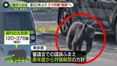 【東京都】クマ狩猟を限定的解禁の方針！専門家“一定の効果”も「20年間やっていない」課題指摘