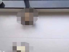 【閲覧注意】 壁にたくさんのハエがとまっていた。どこから湧いて出たんだ？ → 違いました…