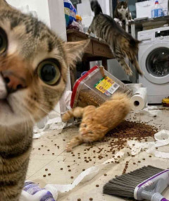 【急募】疲れに効く物、食べ物、栄養剤