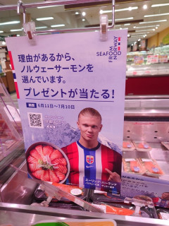 ◆W杯小ネタ◆ノルウェー代表ハーランドはなぜ主婦にまで浸透したのか🤔