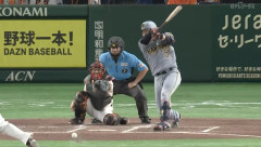 【阪神】大山悠輔(31)打率.270 OPS.813 本塁打11本 打点48👈これ