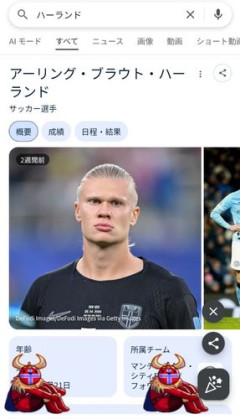 【衝撃】ハーランドさん「俺をググれ」→検索画面にバイキング襲来ｗｗｗｗｗｗｗｗｗｗ
