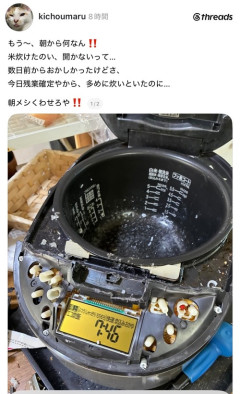 【悲報】スレッズ民「炊飯器が開かない！どうすれば…」→結果がヤバすぎるｗｗｗｗｗ