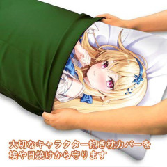 【悲報】抱き枕カバーとかエッッッフィギュア買ってない奴って哀れだよな