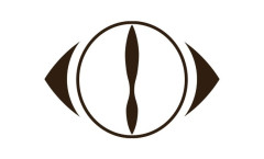 ヨルシカで一番好きな曲教えて