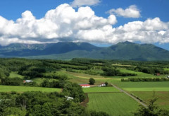【画像】こういう『田舎にしかないエリア』ガチで謎すぎるwwwwwwwwwww