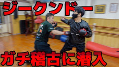 YouTube格闘家「躰道！ジークンドー！影武流！忍術！」ワイ「うおおおお！！」