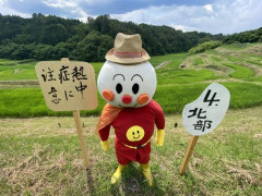 【悲報】新入社員さん「案山子」が読めないｗｗｗｗｗｗｗｗｗｗ