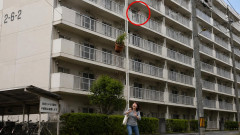 【悲報】府営住宅の6階から植木鉢を歩行者近くに落とした韓国籍66歳女性「ええ、投げましたよ」→当然『不起訴』