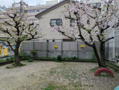 ワイ将、公園の遊具で遊んでたら子供から追い出され涙目敗走