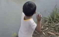【閲覧注意】ワニに石を投げた少年、とんでもないことになる・・・