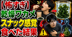 【怖すぎ】乾燥ワカメをスナック感覚で食べた結果ｗｗｗｗｗｗｗｗｗｗｗｗｗｗｗｗｗｗｗｗｗｗｗｗｗｗｗ