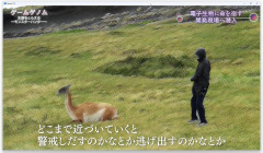 【モンハンワイルズ】 実はゲノムの動画見たこと無いんだがそんなアレなの？