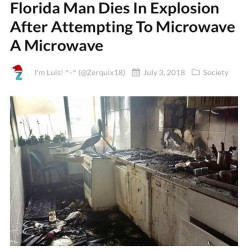 【悲報】アメリカ人さん、電子レンジを電子レンジで温めて爆死