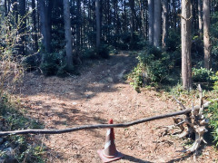 結局、山で遭難したらどうするのがいいの？