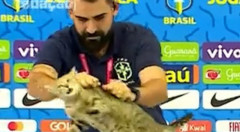 【悲報】ブラジルがW杯でノルウェーに敗退した理由、こういうことだった