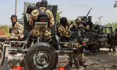 ナイジェリア軍が家畜泥棒1000人と交戦、300人以上を殺害