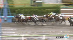 【函館1R】タッケ5000勝チャレンジその1