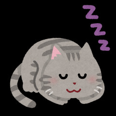 社会人で5時間睡眠生活てヤバいか?