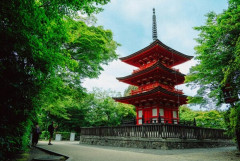 独身男性「一人旅来たぞ！現地の美味いもん食って観光スポット見てビジホ泊まって…なんの意味が？」