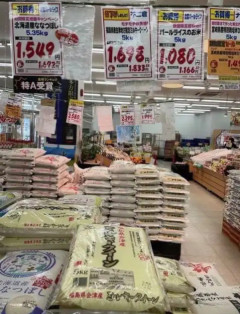 【画像】昔の日本、生きやすそう