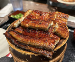 愛知「ひつまぶし!!手羽先!!きしめん!!味噌カツ!!岐阜タンメン!!天むす!!赤福!!伊勢うどん!!』