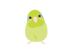 【笑撃】インコが笑わせにくるｗｗｗｗｗｗW