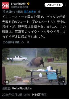 【衝撃映像】バイソン、盗撮にブチギレて観光客を投げ飛ばすｗｗｗｗ