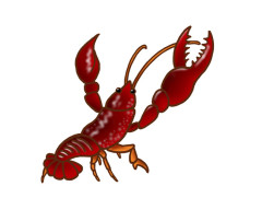 ザリガニやカマキリが手を上げて威嚇する理由