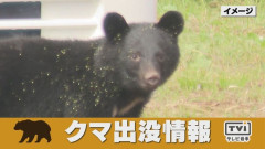 【岩手】クマが和菓子工房に侵入！冷蔵庫内のドーナツなど食べられる