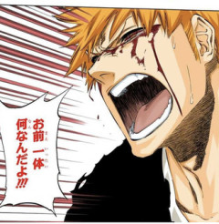 【BLEACH】フルブリング編の一護見てて辛かった
