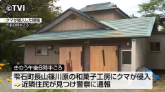 和菓子工房にクマが侵入、冷蔵庫の中のドーナツなどが食べられる