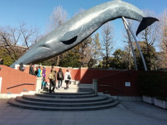 【驚愕】最近知ったんやが、シロナガスクジラが史上最大の生物なんやって