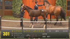 【セレクトセール2026】2日目当歳馬スタート