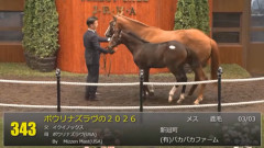 【セレクトセール2026】さあパカパカファームだ　他