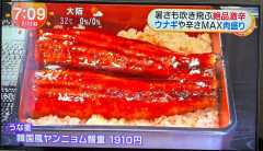 【画像】フジテレビ「韓国風ヤンニョム鰻重」