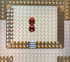 【ポケモン】なんか最近ここがシロガネ山の頂上だって話が広まってるけどさ