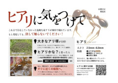 【悲報】10年前有識者さん「ヒアリはヤバイ、日本が終わる」←これ
