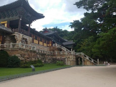 【困惑】韓国さん、歴史が何もないとされてしまう