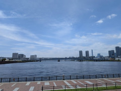 【画像】OLだけど海見ながら弁当食べる