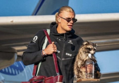 【画像】ハーランドさん、タヌキと共に失意の帰国へｗｗｗｗｗ