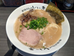 博多とんこつラーメン食って来たんやが