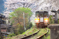 【動画あり】電車「あ、撮り鉄いるからハイビームにしよｗ」⇒ｗｗｗｗ