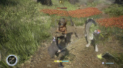 ゲームフリーク最新作『Beast of Reincarnation』、ソウルライクのようなゲームだった