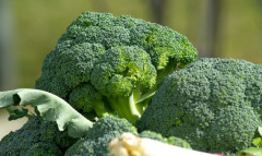 【画像】野菜ってもうブロッコリーだけ食ってりゃええやんけ！ブロッコリーの栄養に比べたら他の野菜なんてカスや