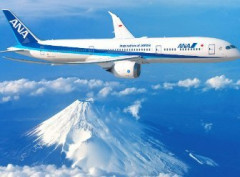 ANA機長、CAの尻を触っただけで懲役1年8カ月を言い渡されてしまうｗｗｗｗｗ