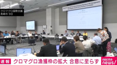 【クロマグロ国際会議】日本が進めていたクロマグロ漁獲枠25％拡大、最終日に起きた“想定外の反転”で白紙に