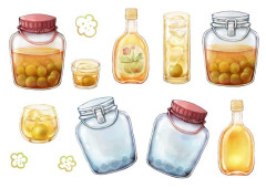 【画像】1年ちょい漬け込んだ梅酒を解禁するぞーー